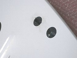 �G�|�L�V �v���Z�{ FCS 1